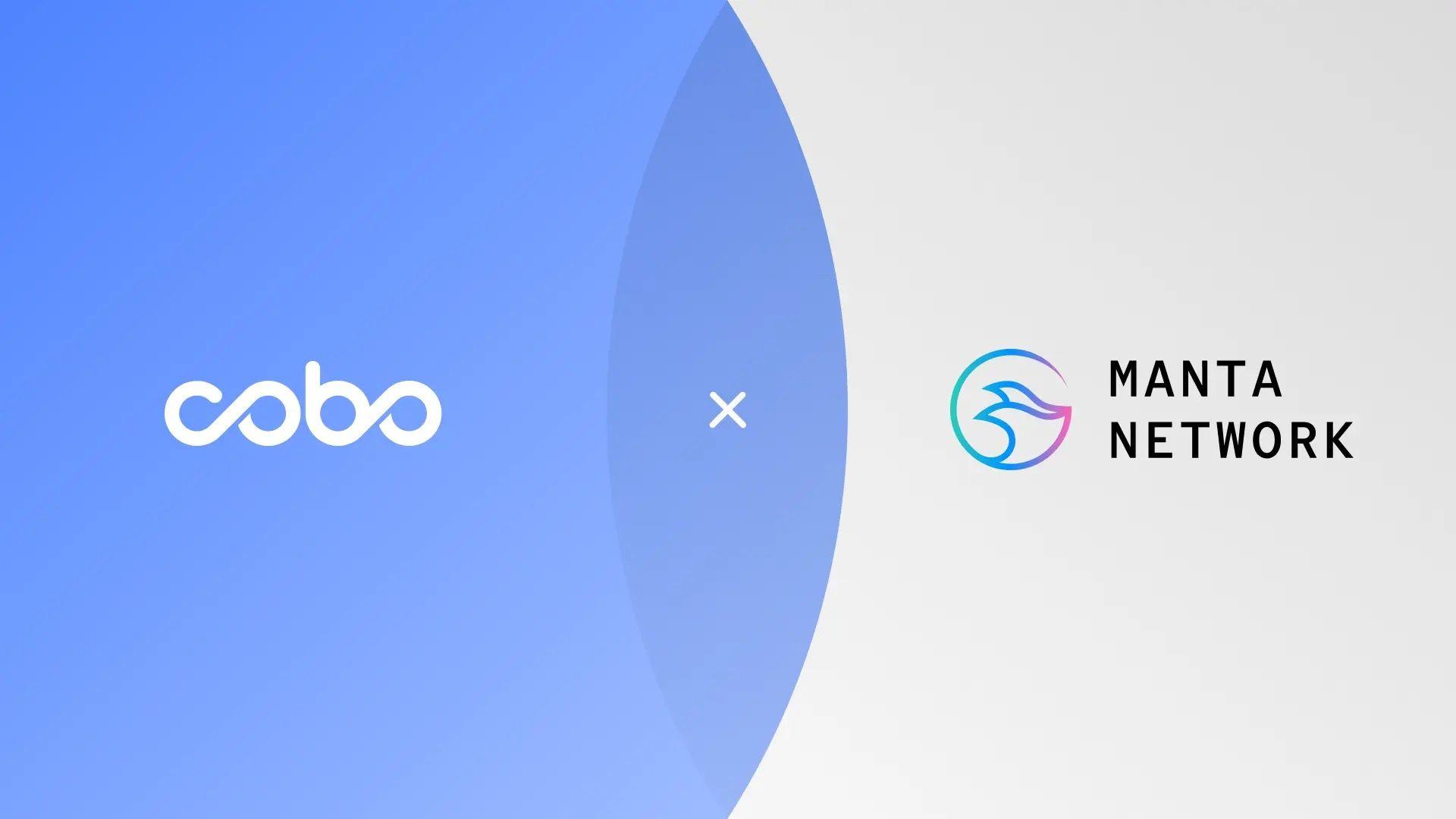 Cobo 为 Manta Network 提供全面的托管解决方案与风险管理方案