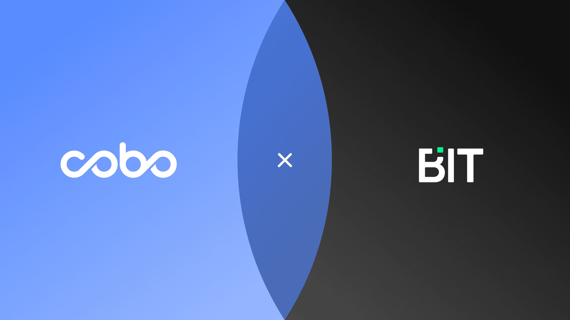 加密货币交易所 BIT 宣布与数据资产托管解决方案领导者 Cobo 达成战略合作，全面拥抱 BRC20 生态